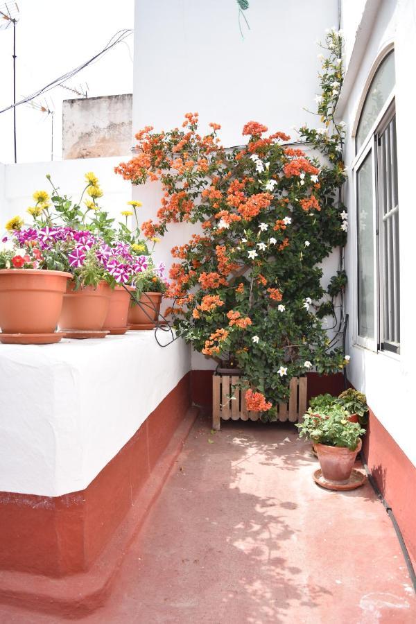 Apartamentos Veedor Cádiz Cádis Exterior foto